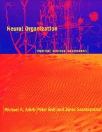 Neural Organization: Structure, Function, and Dynamics