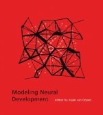 Modeling Neural Development
