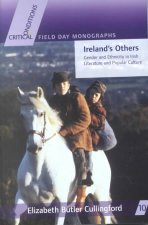 Ireland's Others