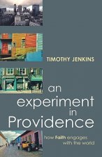 An Experiment in Providence: How Faith Engages the World