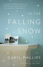 In the Falling Snow