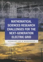 Mathematical Sciences Research Challenges for the Next-Generation Electric Grid: Summary of a Workshop