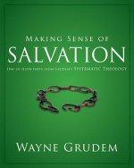 Making Sense of Salvation