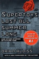 Supertoys Last All Summer Long