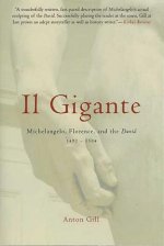 Il Gigante: Michelangelo, Florence, and the David 1492-1504