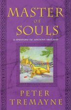 Master of Souls: A Mystery of Ancient Ireland