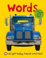 BRIGHT BABY TOUCH & FEEL WORDS