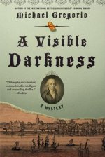 A Visible Darkness: A Mystery