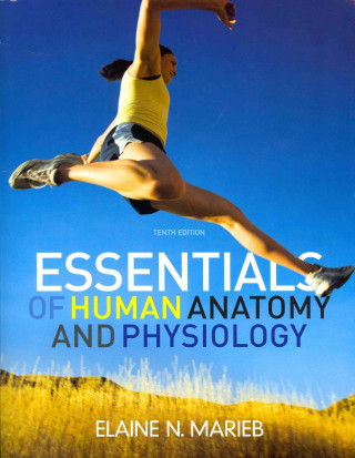 Essentials of Human Anatomy and Physiology [With Brief Atlas of the Human Body and Workbook]