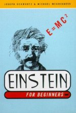 Einstein for Beginners