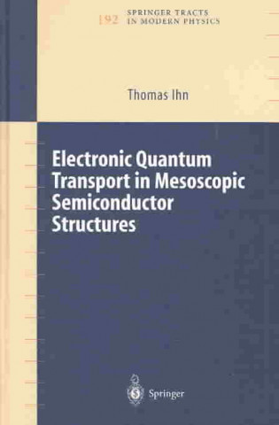 Electronic Quantum Transport in Mesoscopic Semiconductor Structures