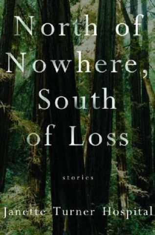 North of Nowhere, South of Loss: Stories