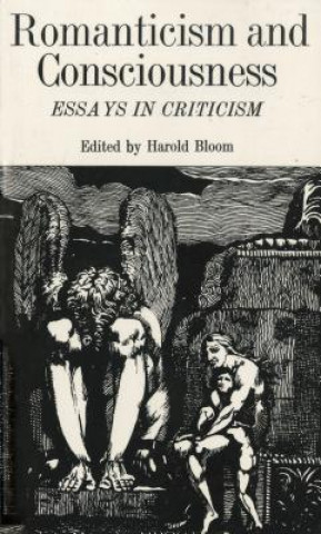 Romanticism and Consciousness: Essays in Criticism