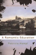 Romantic Education