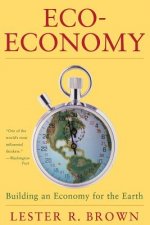 Eco-Economy - Building an Economy for the Earth