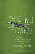 Fetching Dylan: A True Tale of Canine Domestication in Leaps and Bounds