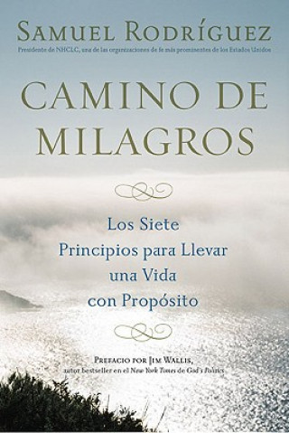 El Camino de Milagros: Los Siete Principios Transformadores Que Te Conduciran a la Realizacion y al Proposito