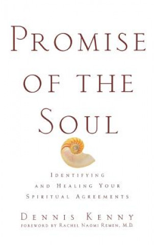 Promise of the Soul: Identifying and Healing Your Spiritual Agreements