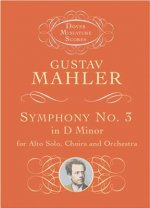 Symphony No. 3 in D Minor for Alto Solo, Choirs and Orchestra