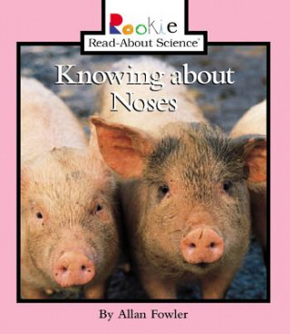 Knowing about Noses