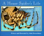 House Spider's Life (Nature Upclose)
