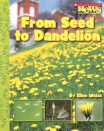 From Seed to Dandelion (Scholastic News Nonfiction Readers: How Things Grow)