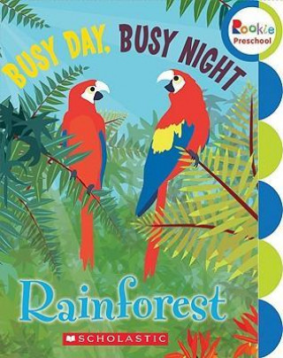 Busy Day, Busy Night: Rain Forest