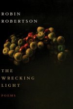 The Wrecking Light
