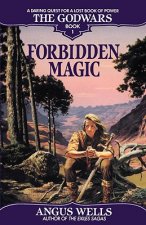 Forbidden Magic: The Godwars Book 1