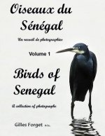 Oiseaux Du S N Gal / Birds of Senegal