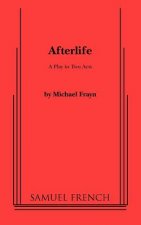 Afterlife