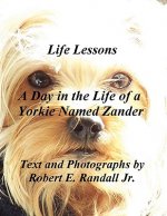 Day in the Life of a Yorkie Named Zander