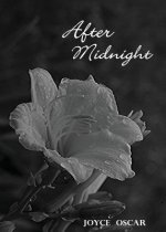 After Midnight: Love's Journey