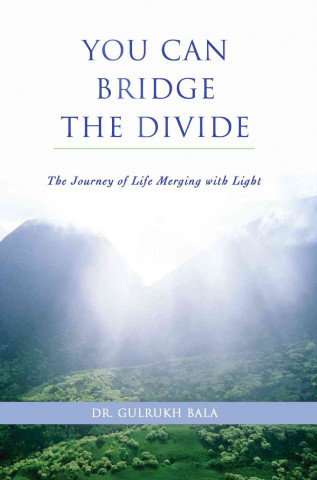 You Can Bridge the Divide: The Journey of Life Merging with Light