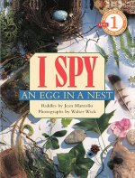 I Spy an Egg in a Nest