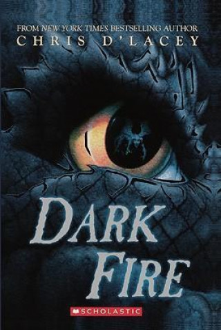 Dark Fire