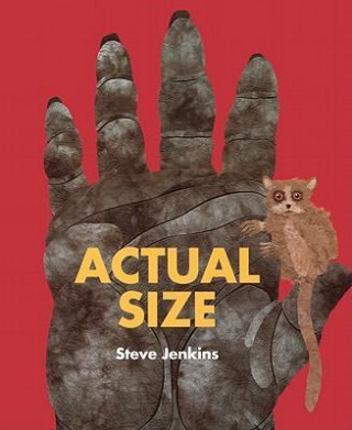 Actual Size