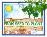 From Seed to Plant