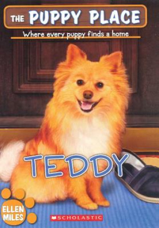 Teddy