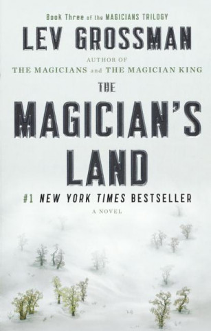 The Magician's Land