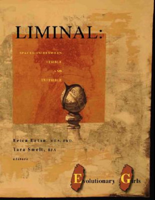 Liminal: Spaces-in-between Visible and Invisible