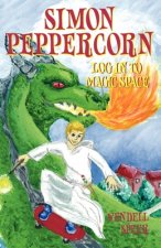 Simon Peppercorn, Log in to Magic Space