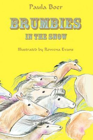 Brumbies: In the Snow