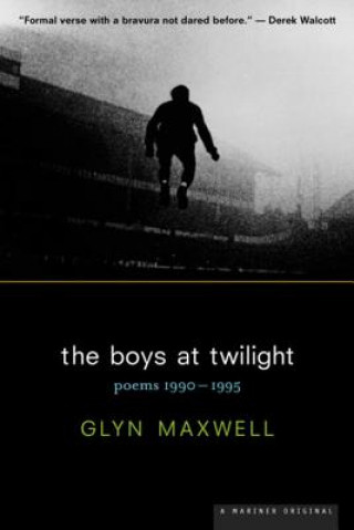 The Boys at Twilight: Poems 1990 - 1995