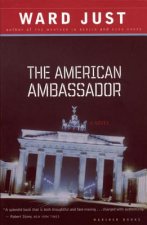 The American Ambassador