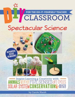 DIY Classroom: Spectacular Science