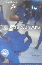 Brain's Sense of Movement