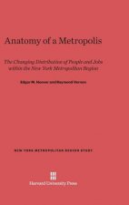 Anatomy of a Metropolis