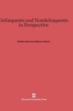Delinquents and Nondelinquents in Perspective