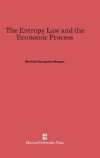 Entropy Law and the Economic Process